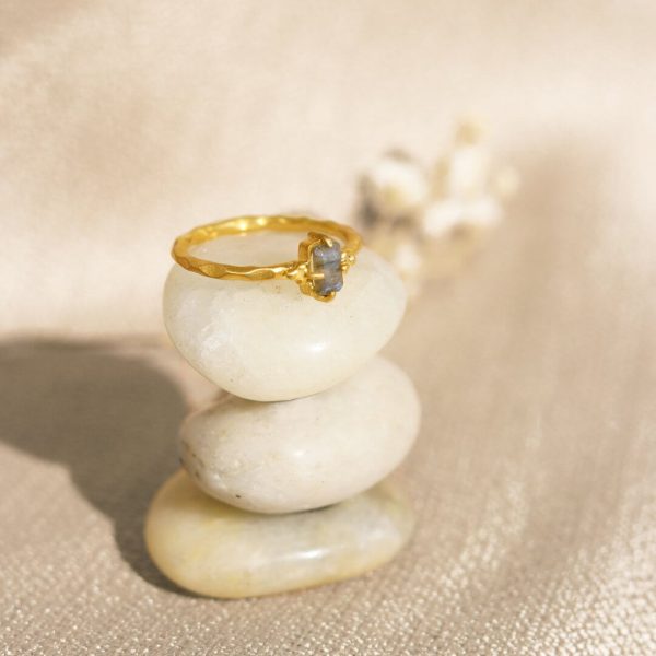 EVER EVOLVING ring - Image 4