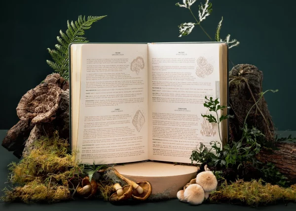 MAGIC OF I - 2024 Astrological Planner, sage - Image 10