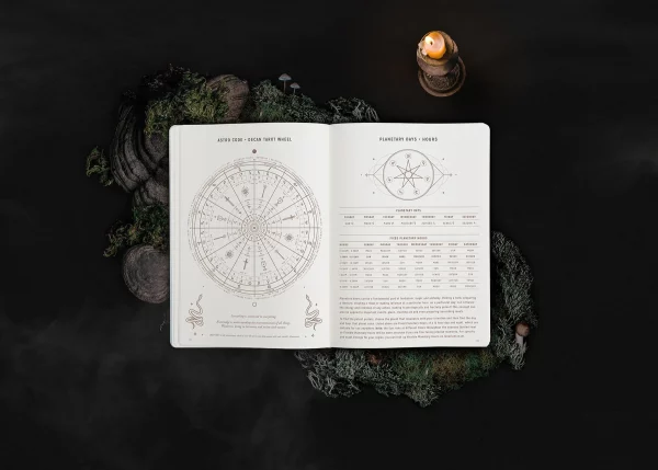 MAGIC OF I - 2024 Astrological Planner, sage - Image 7