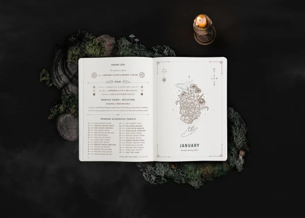MAGIC OF I - 2024 Astrological Planner, sage - Image 5