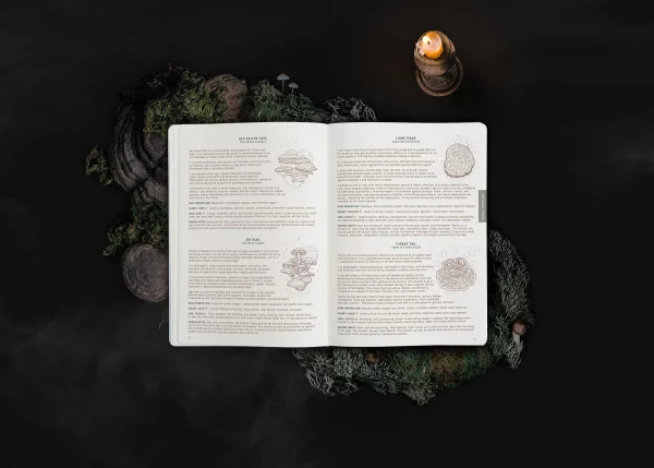 MAGIC OF I - 2024 Astrological Planner, sage - Image 6