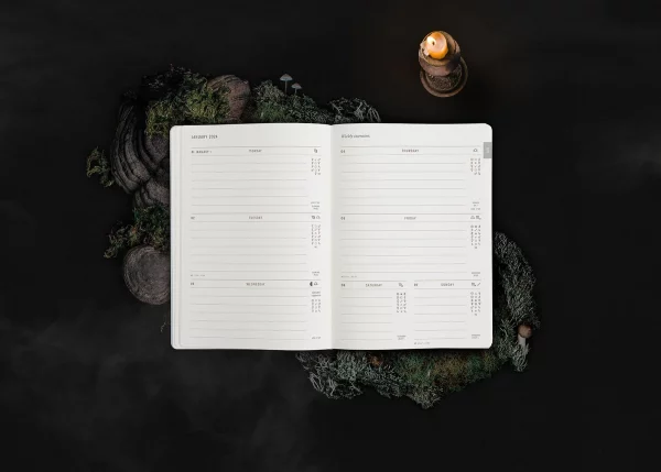 MAGIC OF I - 2024 Astrological Planner, sage - Image 8